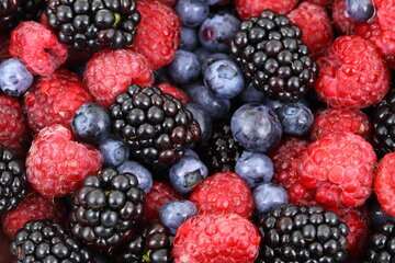 how to store fresh berries