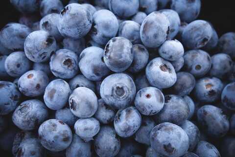 how to freeze blueberries