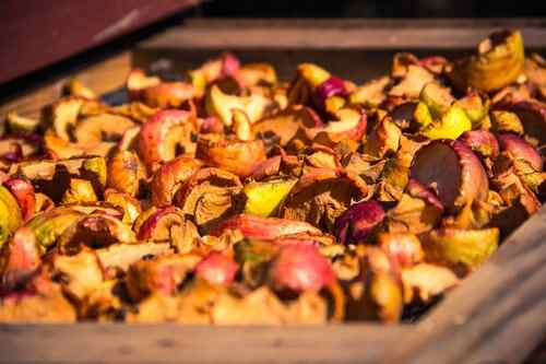 how to dry apples without a dehydrator